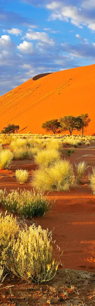Dünenlandschaften und Wüstennächte in Namibia